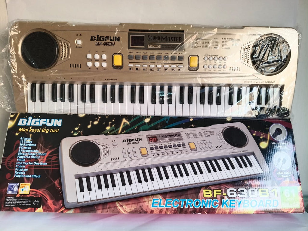 BigFun BF-630B1 art 053