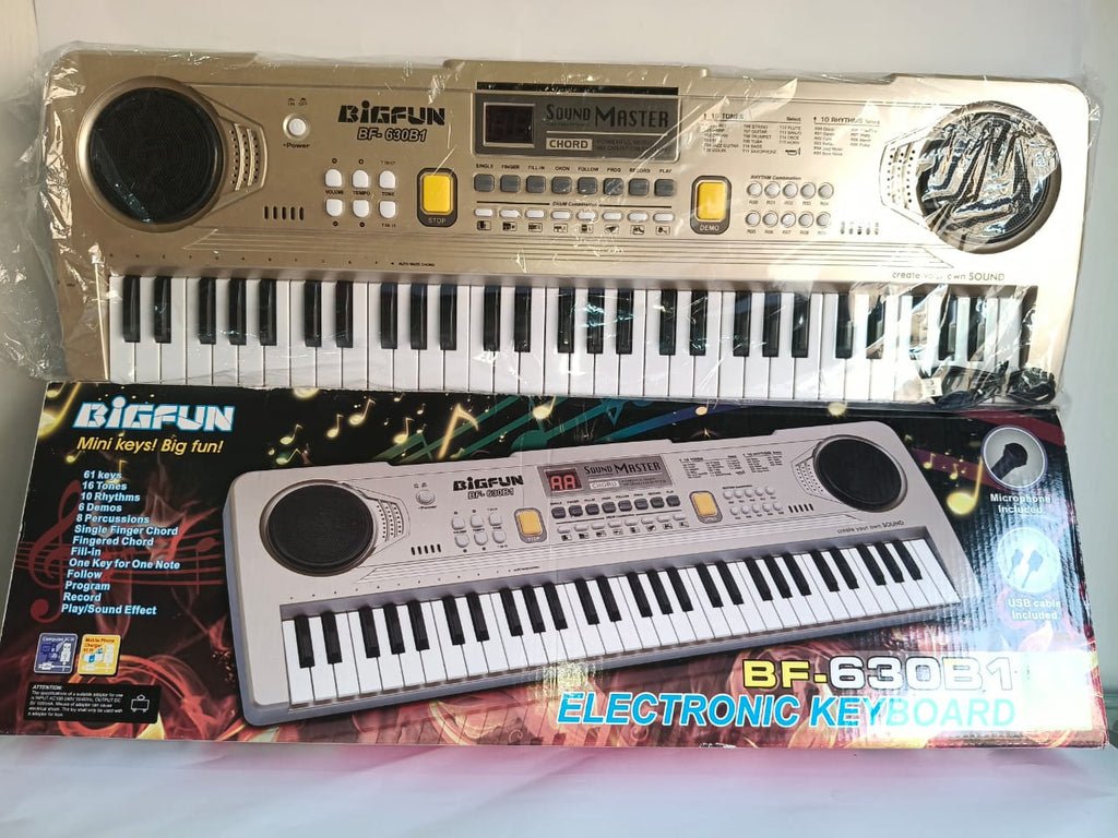 BigFun BF-630B1 art 053